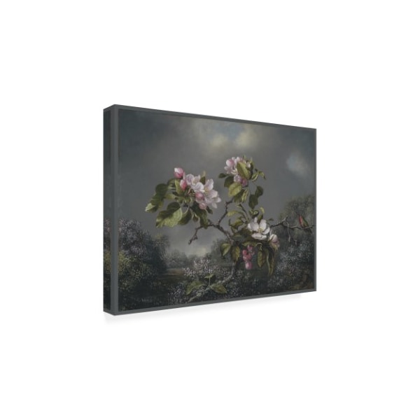 Martin Johnson Heade 'Apple Blossoms And Hummingbird' Canvas Art,18x24